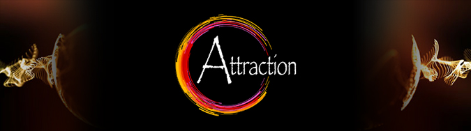 banner_attraction_pourIS